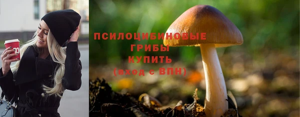 ECSTASY Лихославль